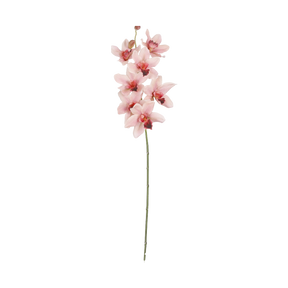 Vanda orkidéstilk fra Mica Decorations