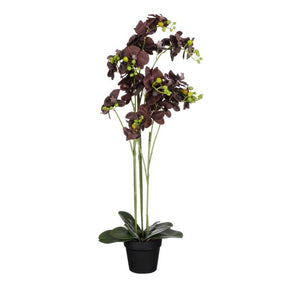 Orkidé sort 90 cm