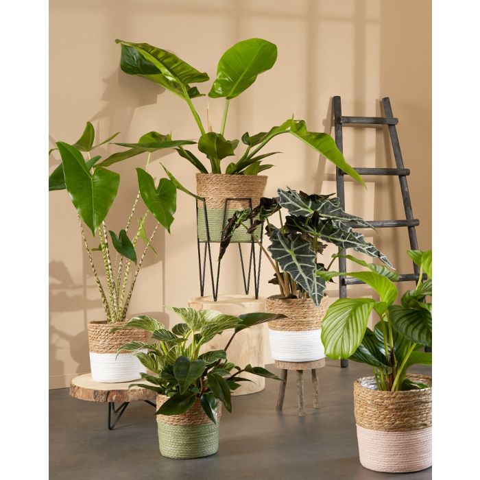 Træstige til dekoration sort 