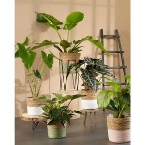 Træstige til dekoration sort 