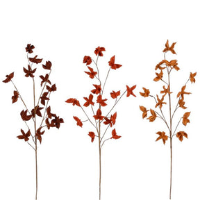 Efterårsgren med farvede blade