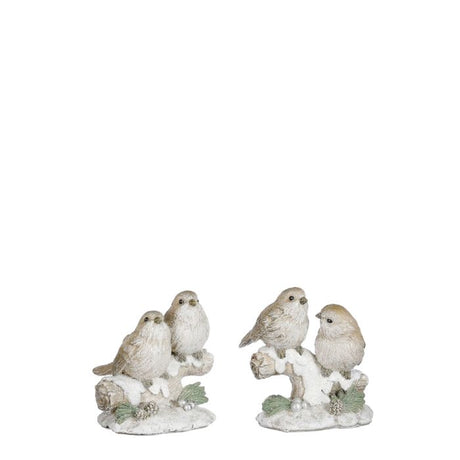 Fuglepar i vintervejr