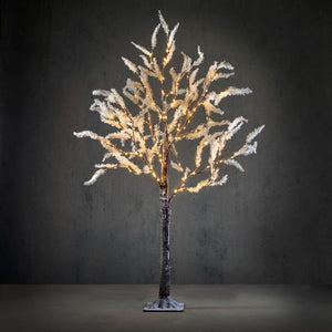 Lystræ 120 cm højt