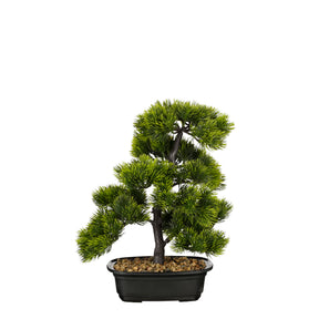 Bonsai træ 33 cm højt