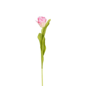 Tulipan 50 cm lang lyserød