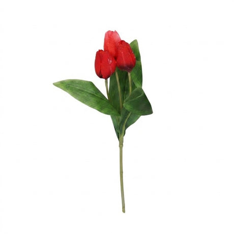 Tulpanstjälk med 3 blommor