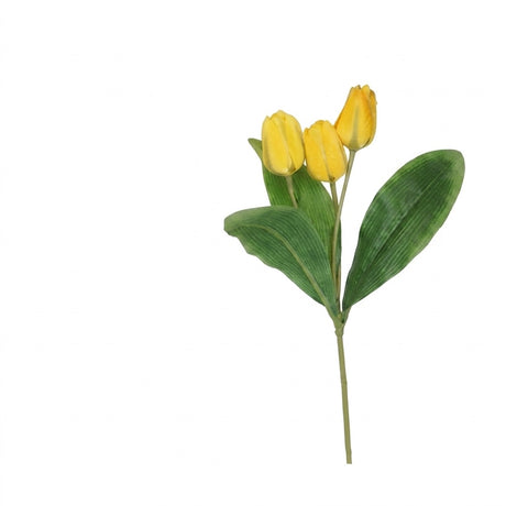 Tulpanstjälk med 3 blommor