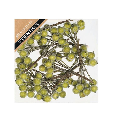 Frostede bær på wire grønne