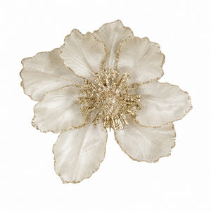 Magnoliablomma på klämma