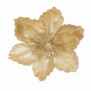 Magnoliablomma på klämma