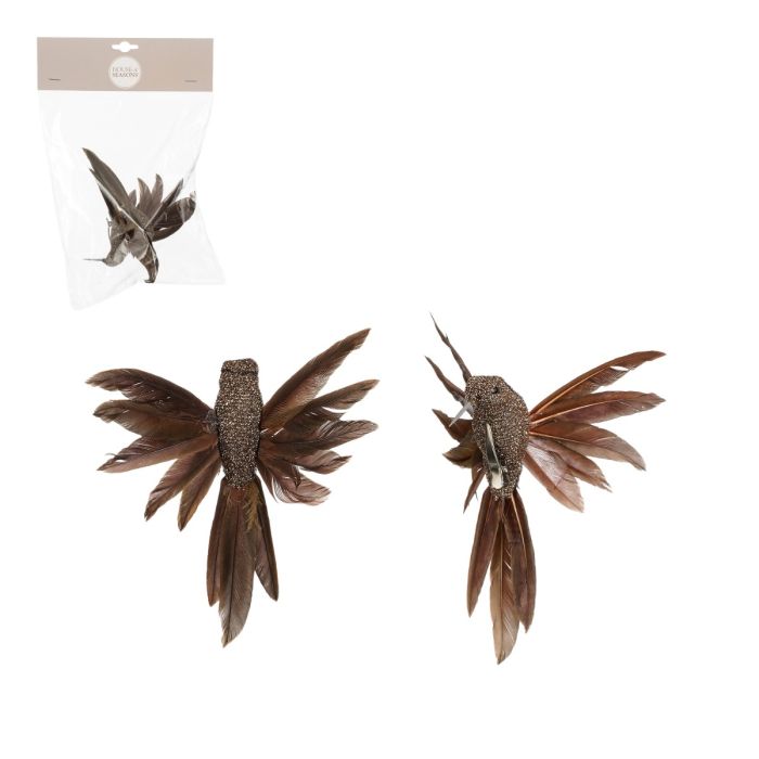 Kolibri med klips brun 2-pak 