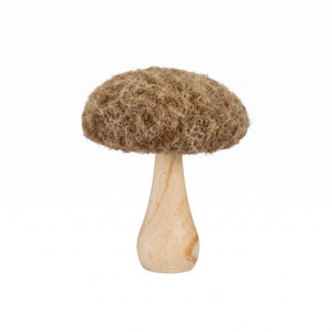 Svamp med mjuk hatt