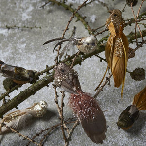 Fugl på klips brune farver