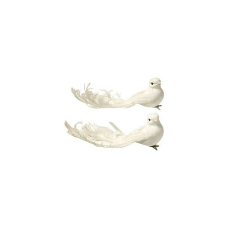 Hvid fugl med fjerhale og klips