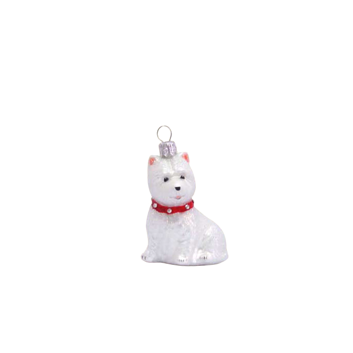 Julkula West highland white terrier
