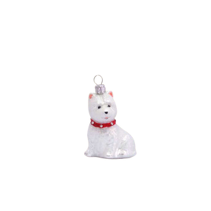 Julkula West highland white terrier