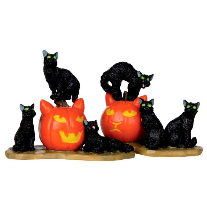 Halloween Cats