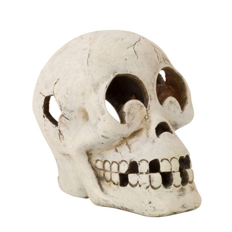 Kranie til fyrfadslys