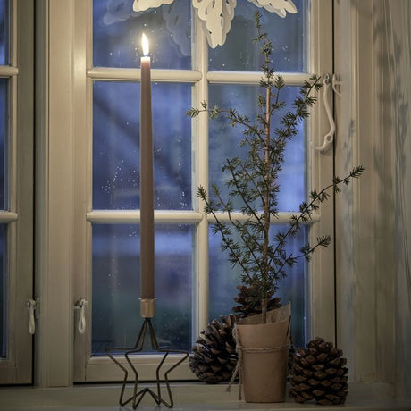 Stjernestage til et lys