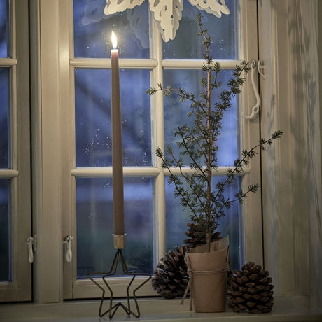 Lærketræ i papirspotte 75 cm højt