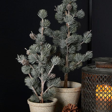 Lærketræ med sne og kogler 53 cm højt