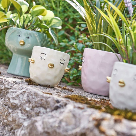 Speedtsberg Skjuler And lysegul 