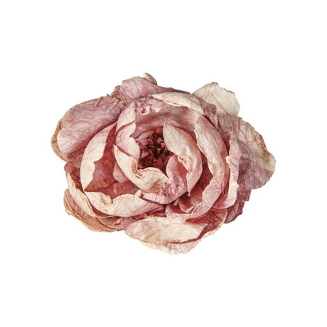 Blomsterhoved med klips pæon lys lilla