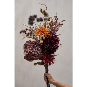 Krysantemum stilk burned orange