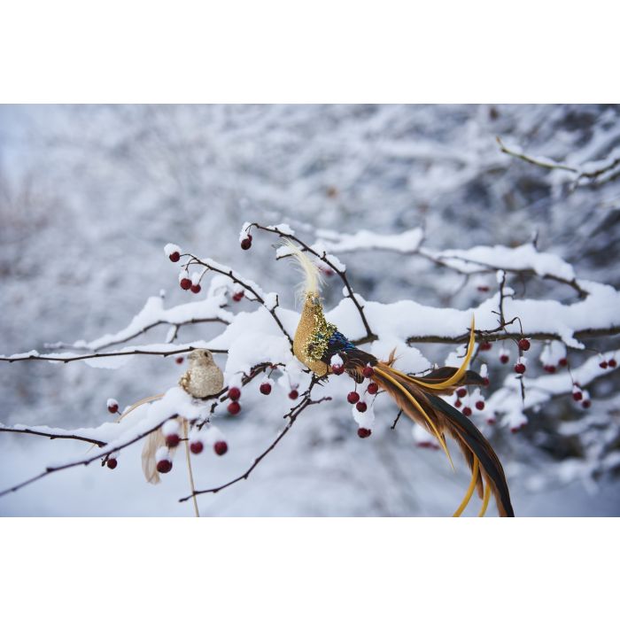 Påfugl med fjerhale på klips