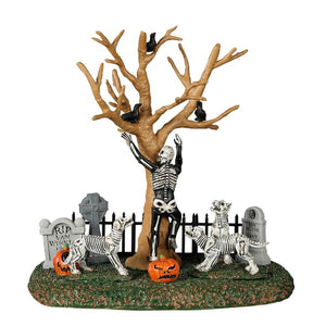 In The Wrong Graveyard