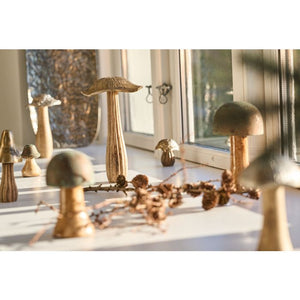 Svampe dekorerer en vindueskarm.