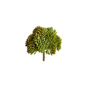 Sukkulent mini 9 cm