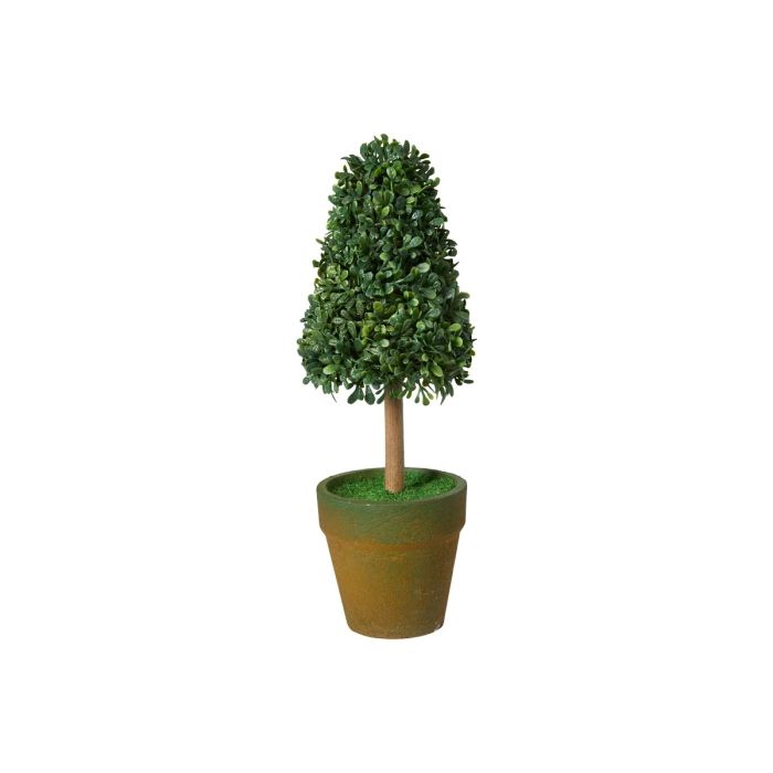 Buskbom kegle i potte 21 cm høj