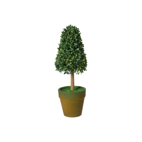 Buskbom kegle i potte 21 cm høj