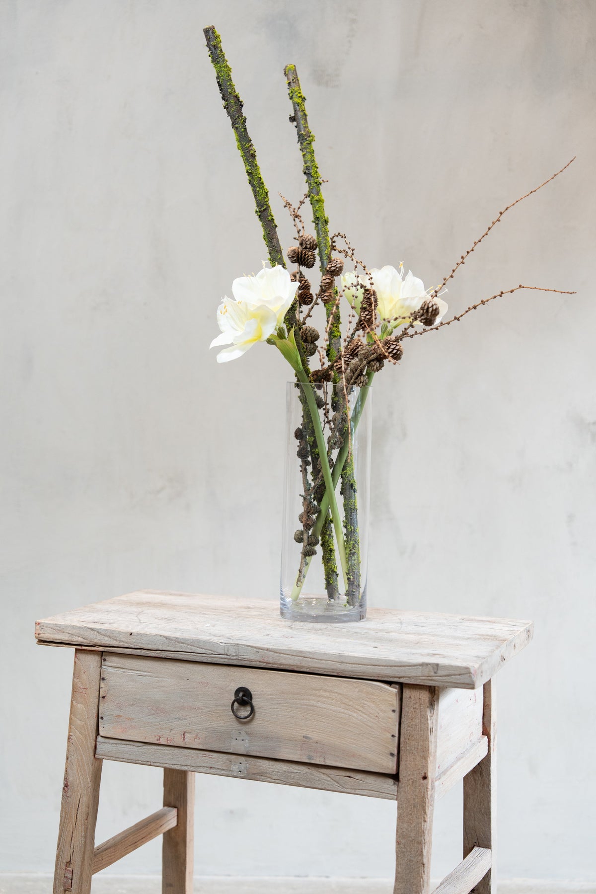 Cylindervas i glas med amaryllis, grenar med kottar och mossa