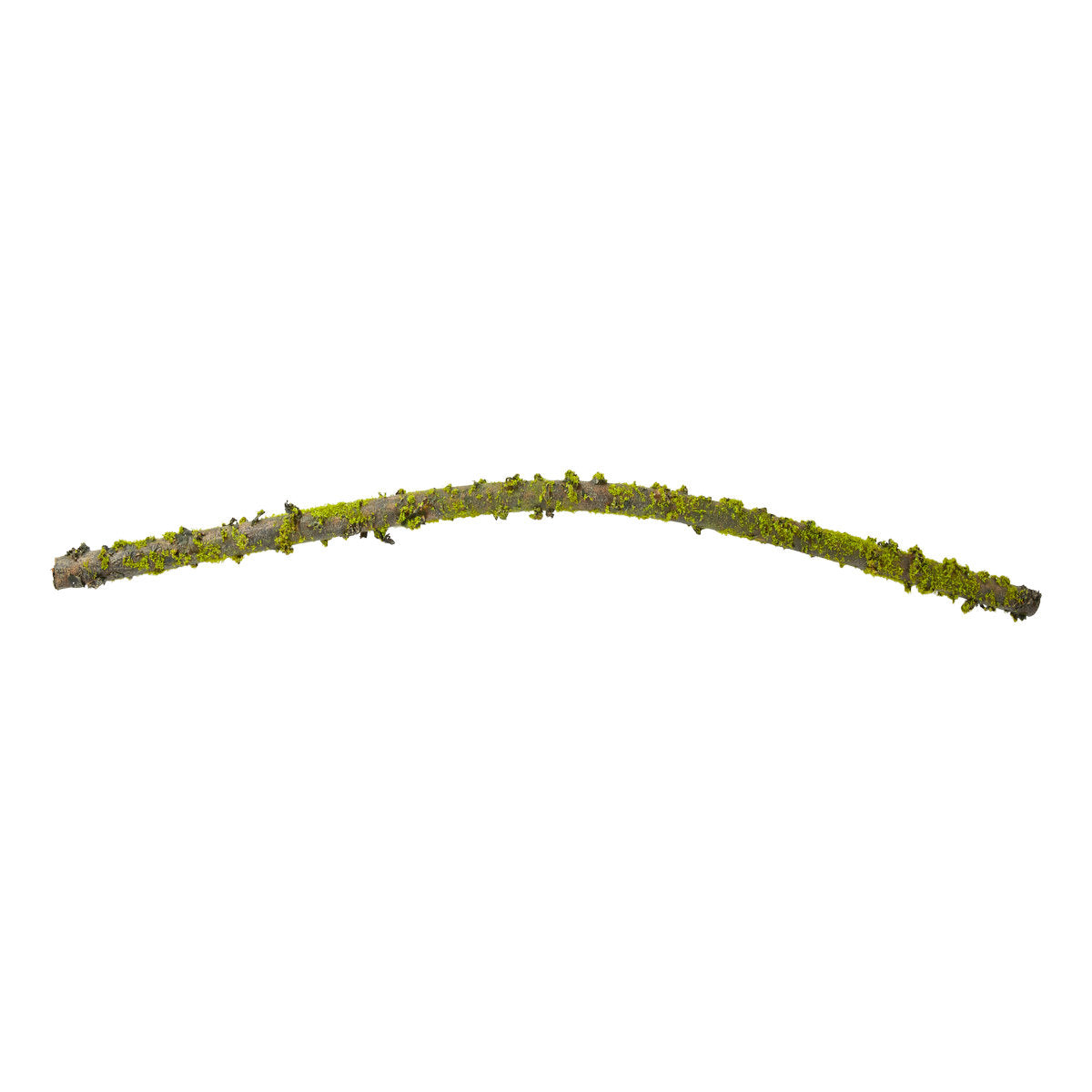 Gren med mossa, böjlig, 102 cm lång från Speedtsberg