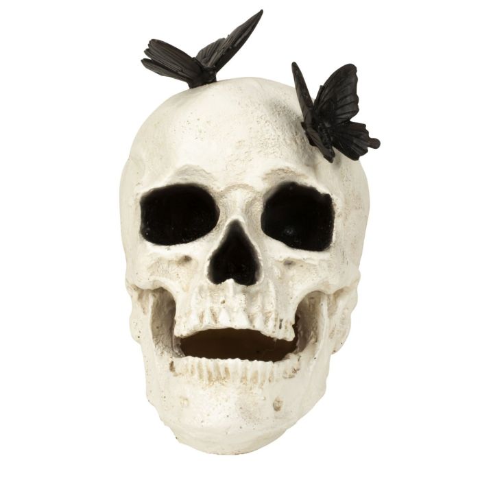 Kranium med sorte sommerfugle
