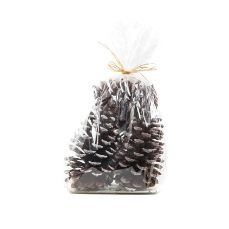 Store grankogler med sne i pose