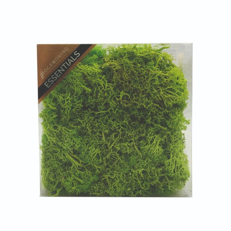 Mos i æske lys grøn