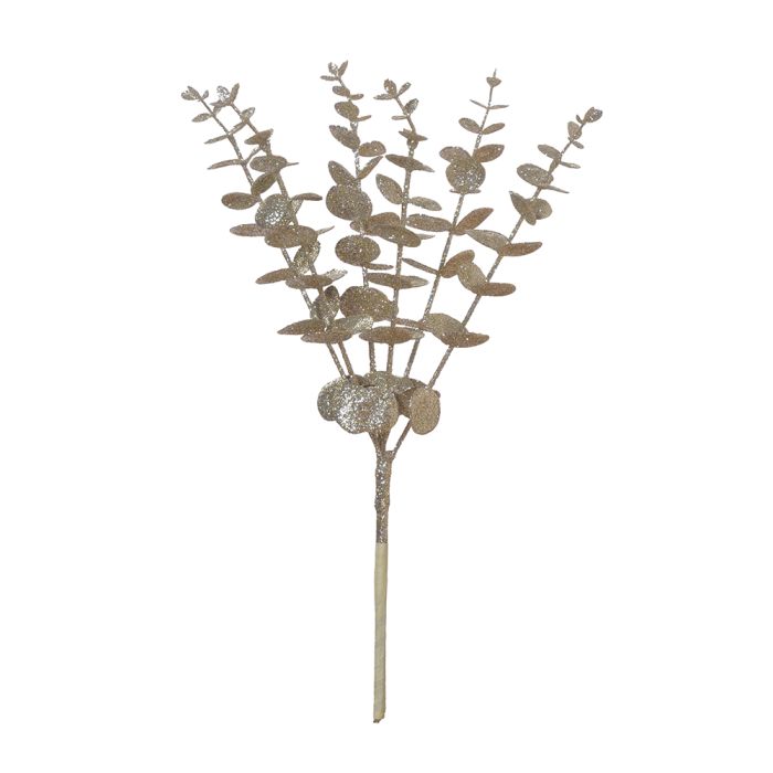 Eucalyptus guldfarvet gren 40 cm høj