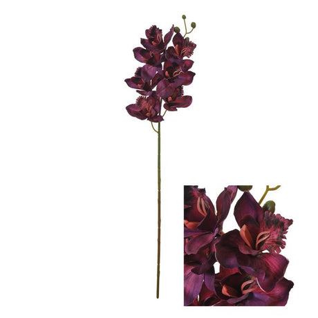 Orkidéstilk Cymbidium mørklilla