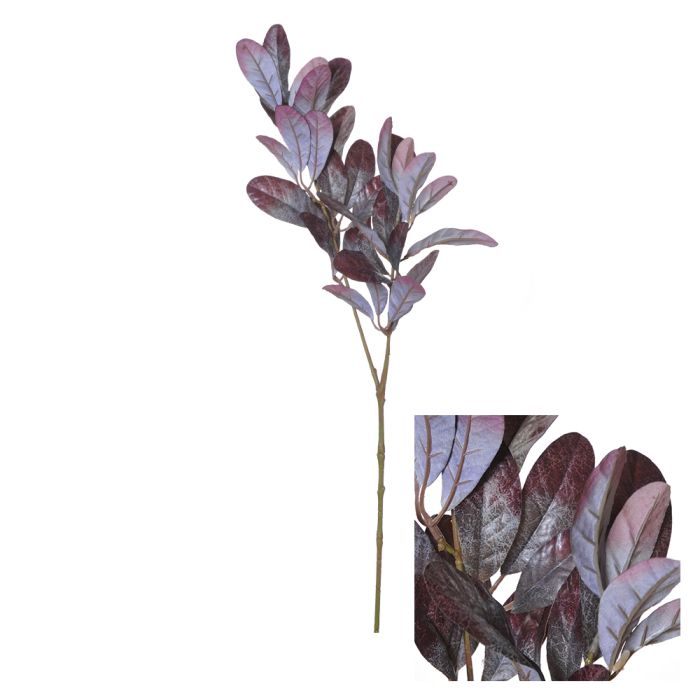 Bladgren grønviolet 68 cm lang
