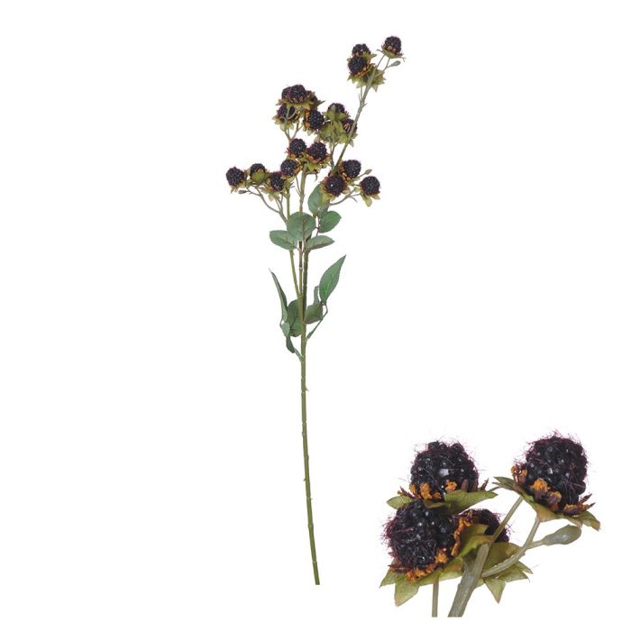 Stjälk med mörklila vilda jordgubbar