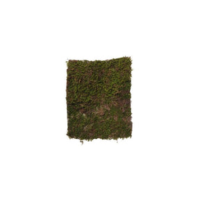 Mosstykke 28 cm x 35 cm