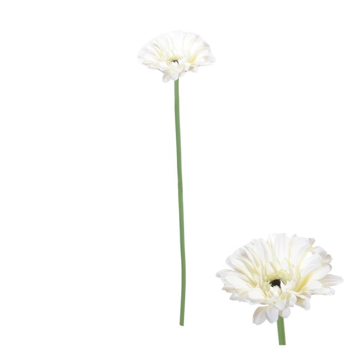 Gerbera blomsterstilk hvid 55 cm