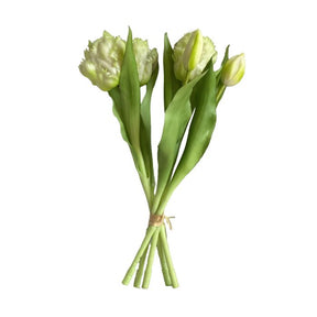 Buket med tulipaner flossede hvide 31 cm høje