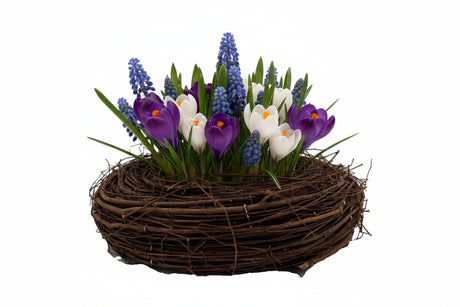 Planteskål rede med perlehyacinter og krokus