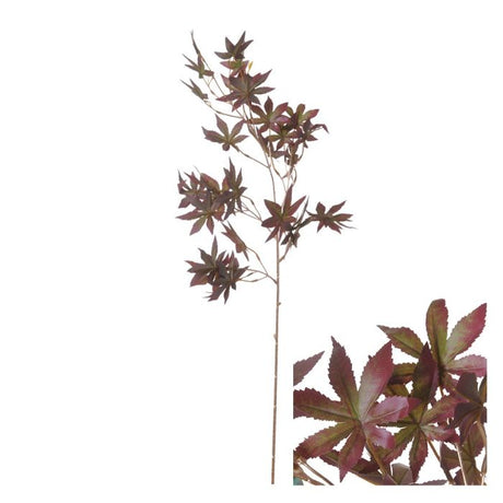 Gren med brunrøde ahornblade