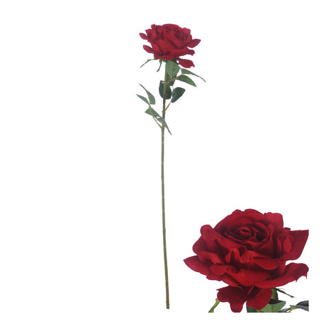 Mørkerød fløjsrose