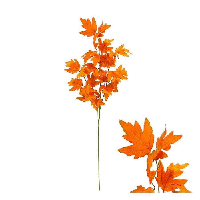 Ahorngren med orange blade 88 cm